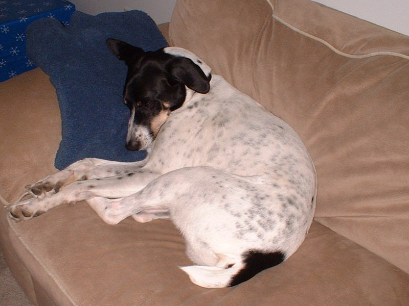 Ahhhh! my favorite spot.