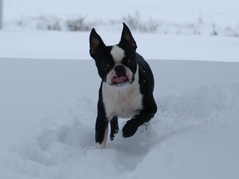 Loving the Snow