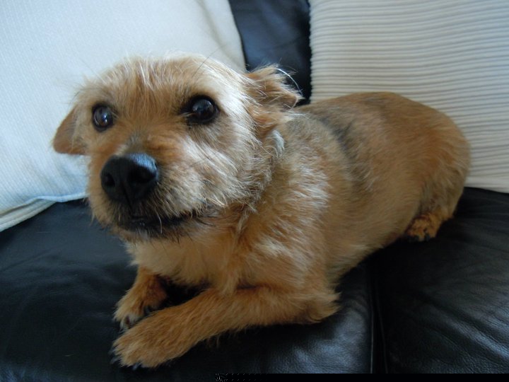 Oh yeah he was a bit of a poser
