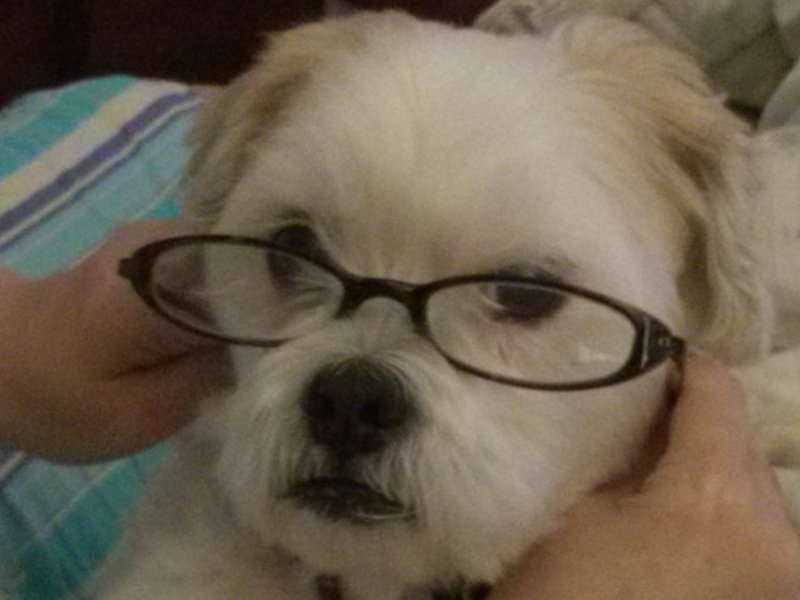 professor Coco