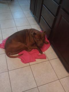 Waiting while I cook