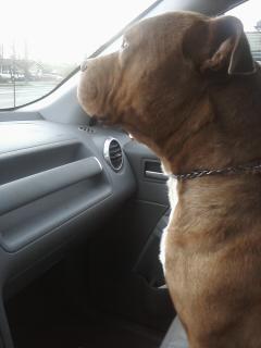 Riding in car