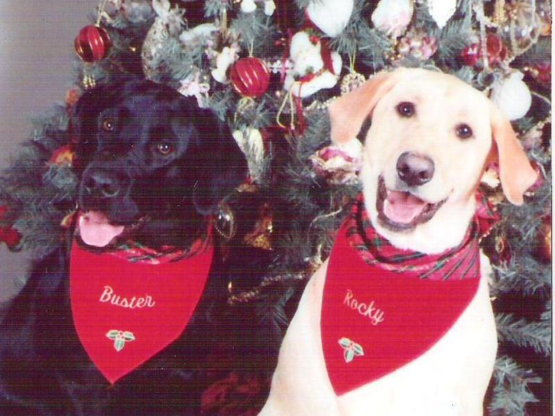 Their first Christmas photo