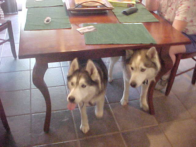 Ivan (R) and his dad Rocky