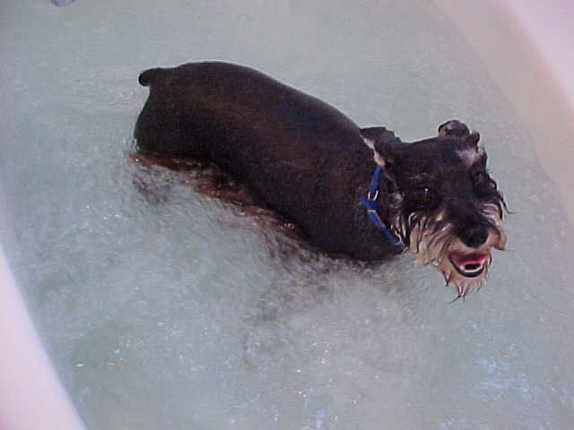 jacuzzi tub