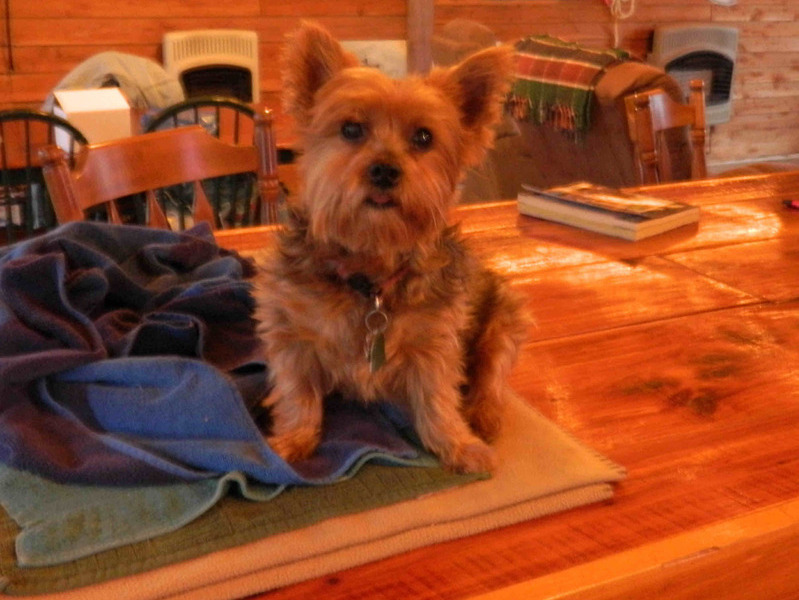 Roxanne at our lake house