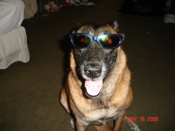 Ruby Wearing Daddy's Sunglassess