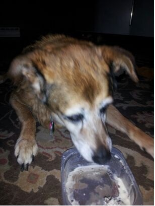 Sadie's 19th Birthday Ice Cream Treat