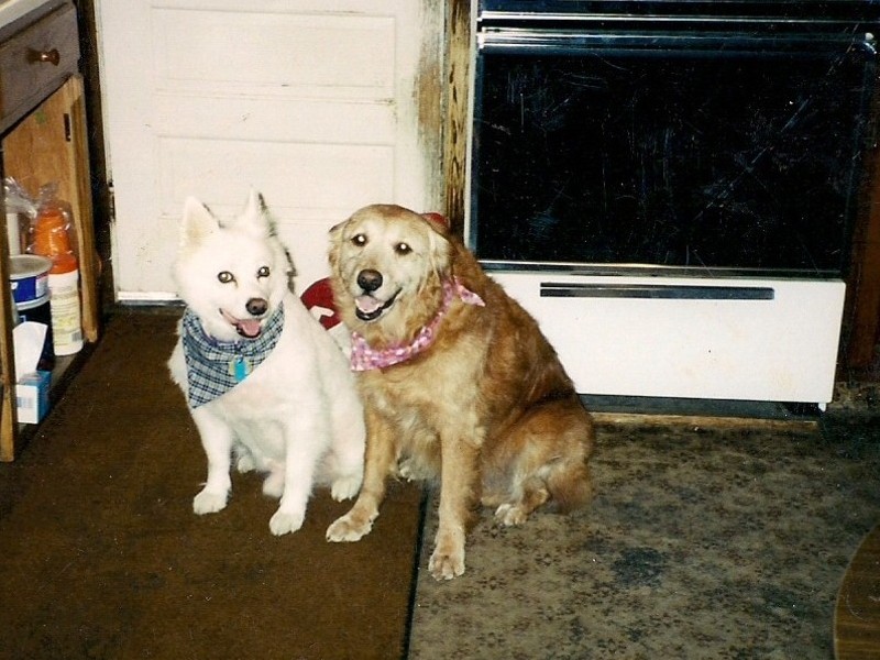 Gizzmo, Sissy Zildjian After They Got Pampered At The Salon