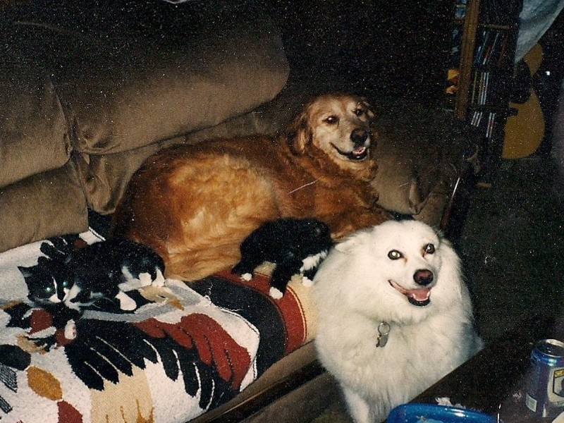 Zildjian, Gizzmo, Bootsie, Mischief (Him W/All 3 Animal Sisters)