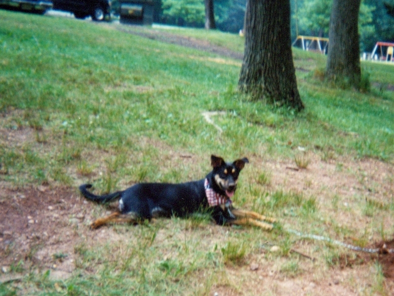 Xena, July 4th 2000, we were playing that day and she broke my nose when she jumped up for the ball.