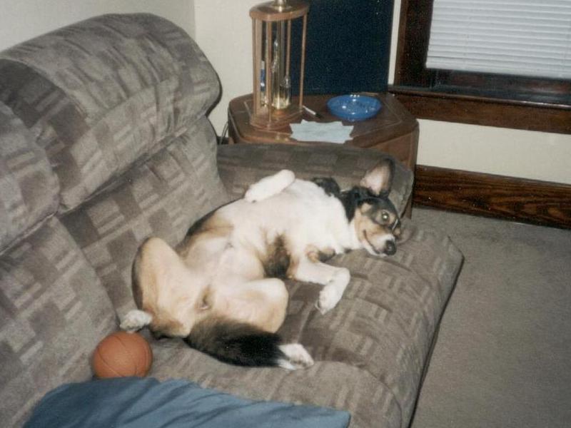photo caption