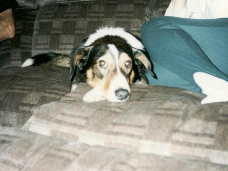 photo caption