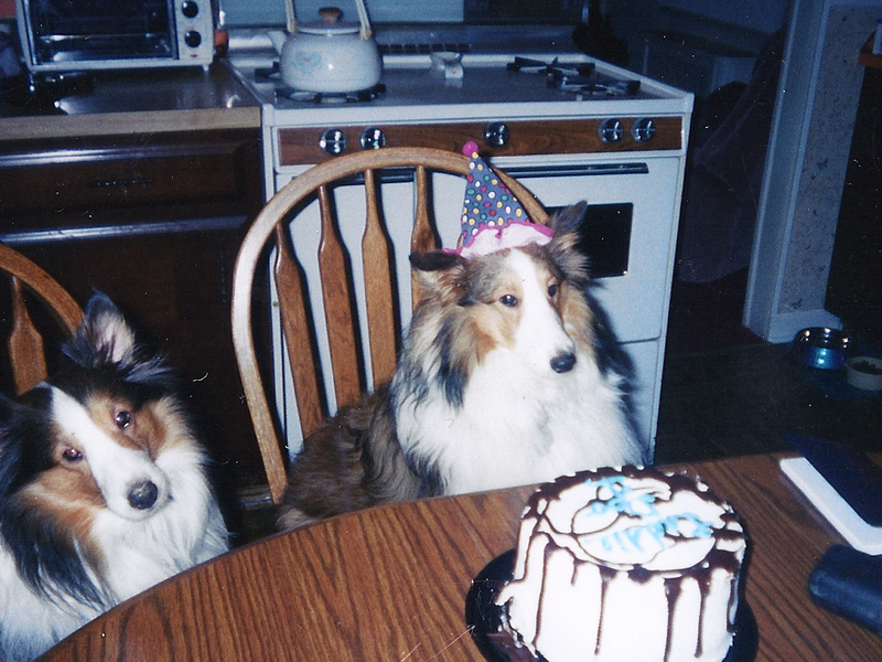 Laddie with his brother Scooby,on his first birthday.