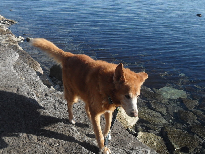 Everytime Im out on the water, I will think of my best friend for liife.