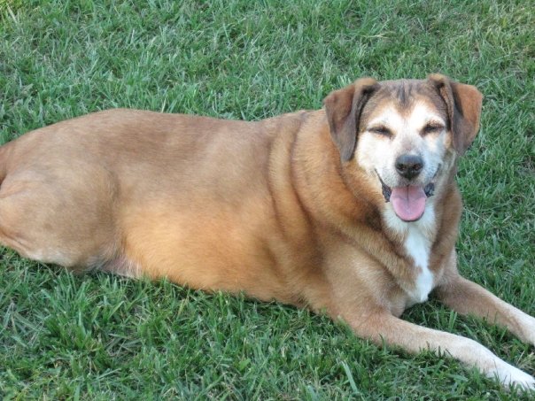 Basking in the sun at Aunt Charlene's house July 2009