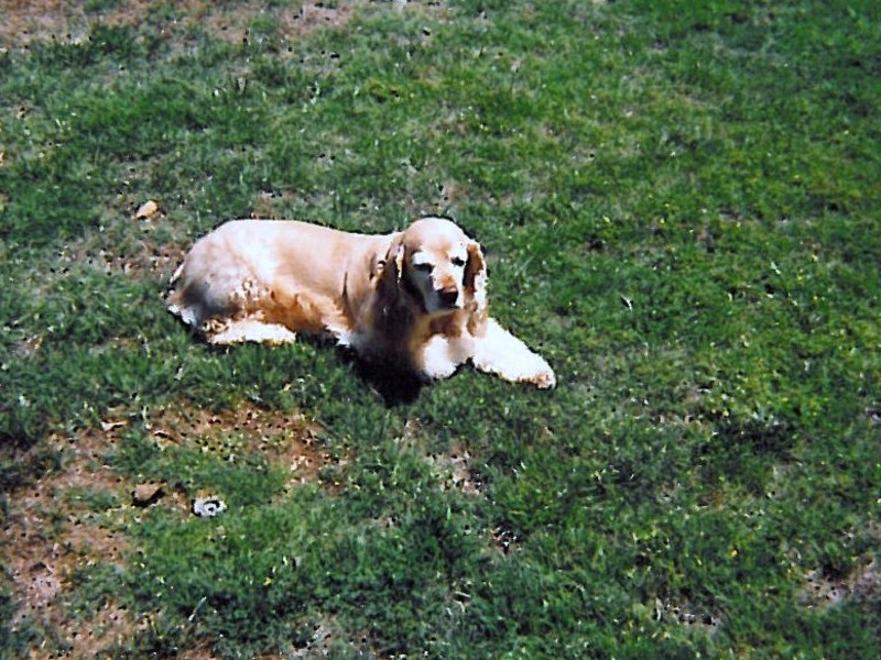 Boy I love sunbathing!