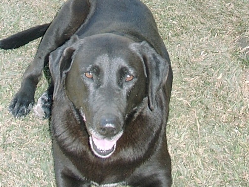 Stella smiles