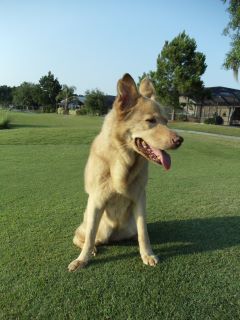 Summer on the Golf Course :-)