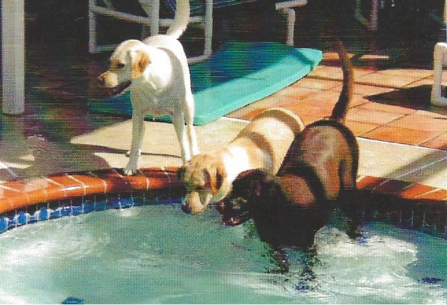 Swimming - one of her favorite things to do.