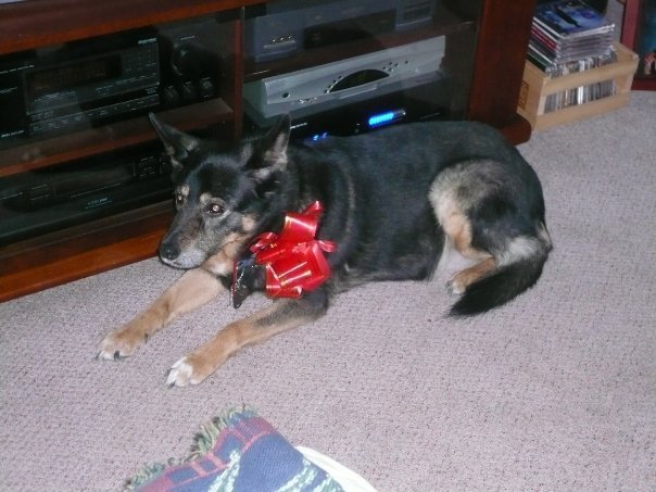 Tasha Girl a few years ago Christmas day!