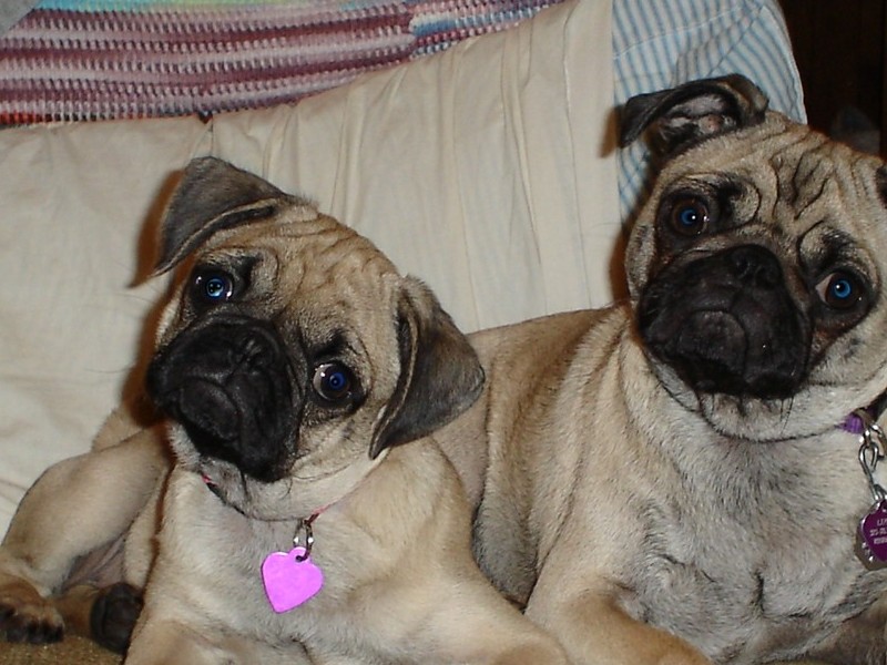 Lucy with her baby sister Ellie