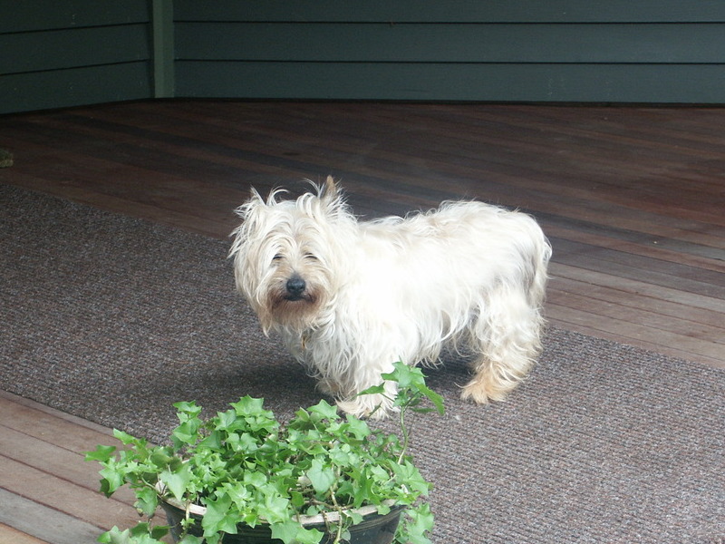 Himself at c. 15 years, at his favorite place, the front porch