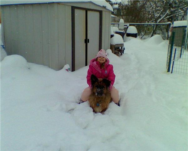 Trinity and bear playing in the snow