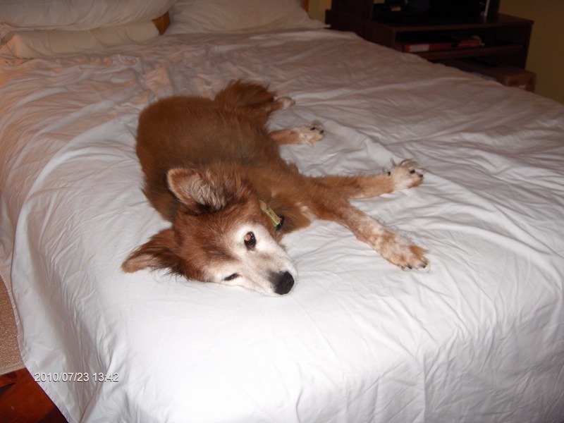 hogging the bed, which was fine!