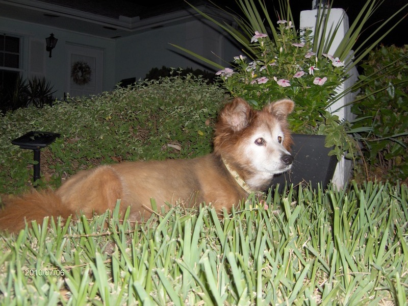 Bunny in the front yard with me.