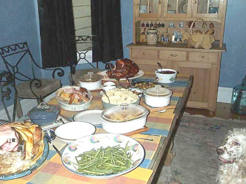 Winston looking at the food -- Thanksgiving 2001