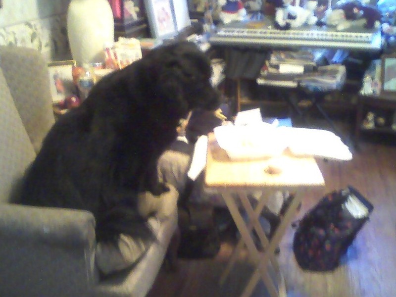 Eating my Food