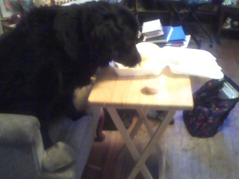 Eating m m m   GOOD