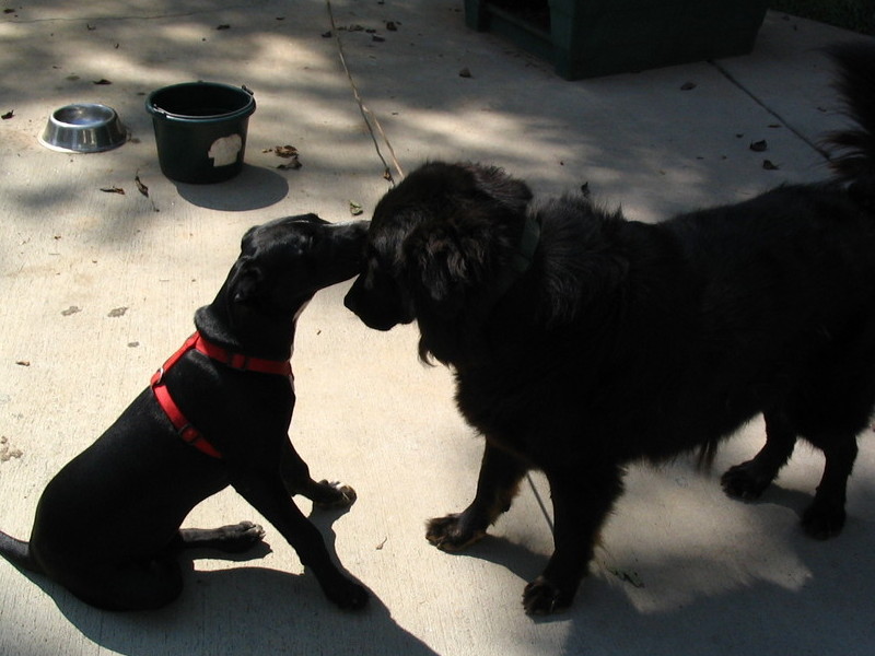 Tego making sure Yogi smells good