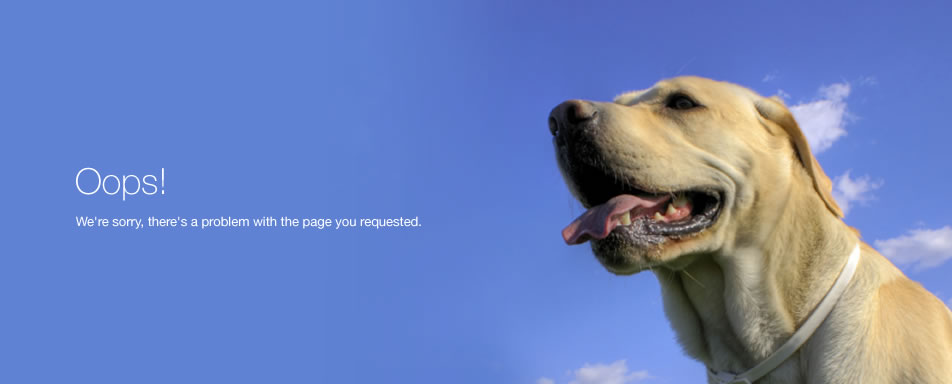 404 Error